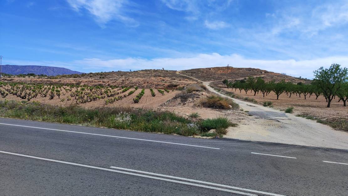 Venta - Land - Pinoso - Pinoso Centro