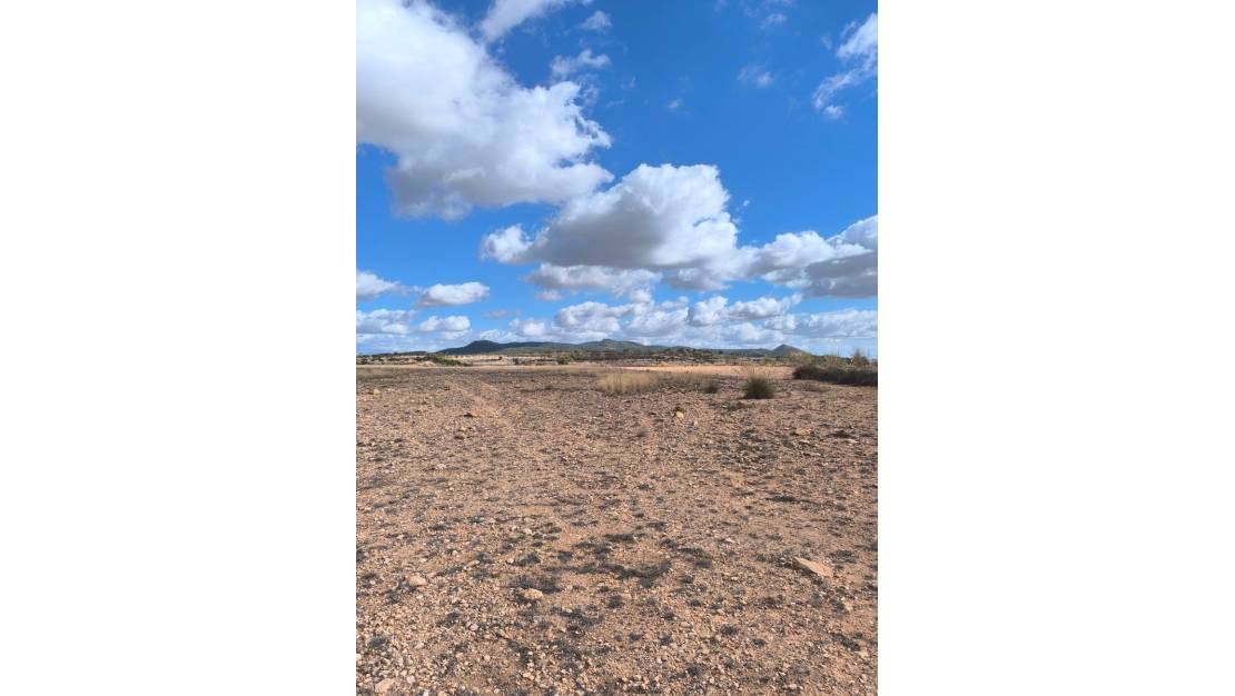 Venta - Land - Pinoso - Pinoso Centro