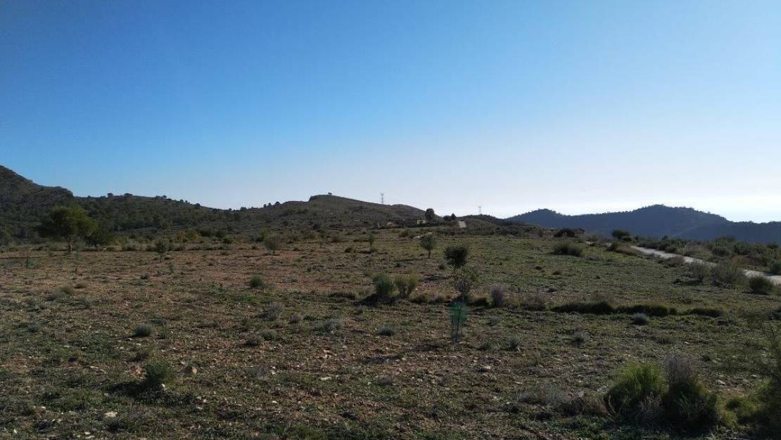 Venta - Land - Relleu - Relleu Centro