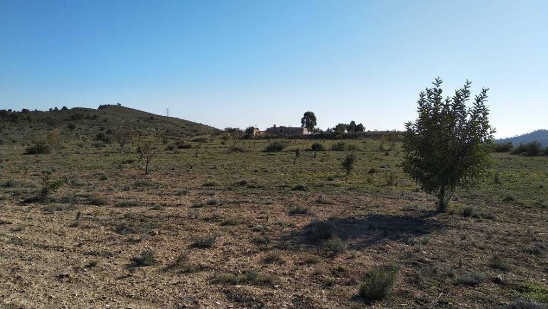 Venta - Land - Relleu - Relleu Centro