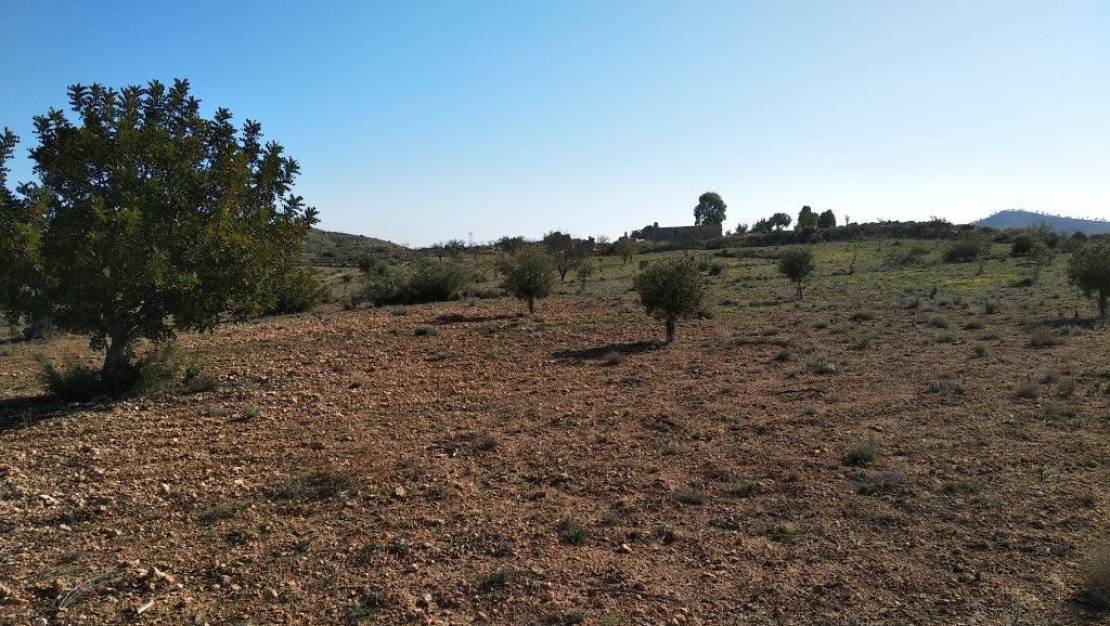 Venta - Land - Relleu - Relleu Centro