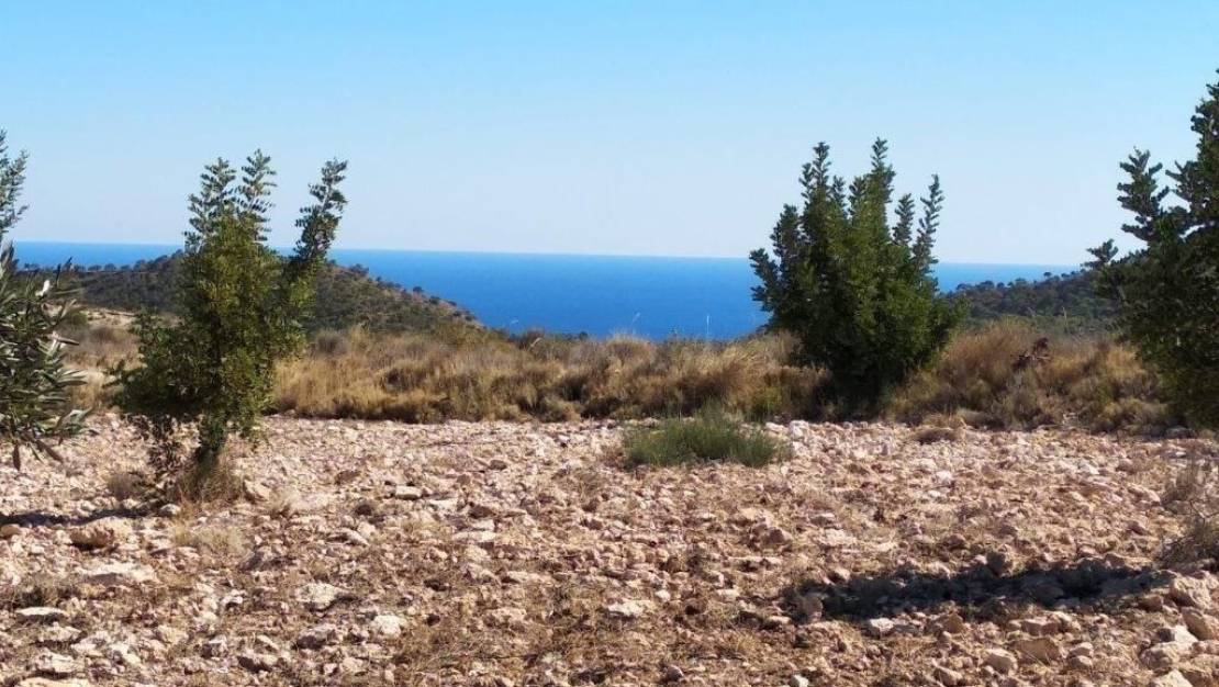 Venta - Land - Relleu - Relleu Centro