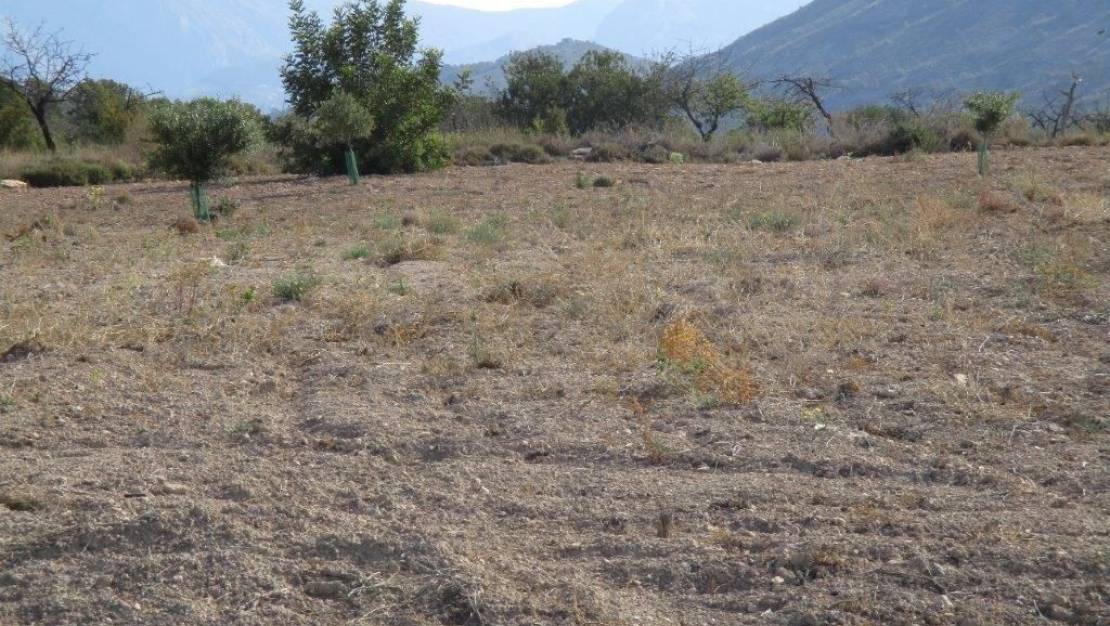 Venta - Land - Relleu - Relleu Centro