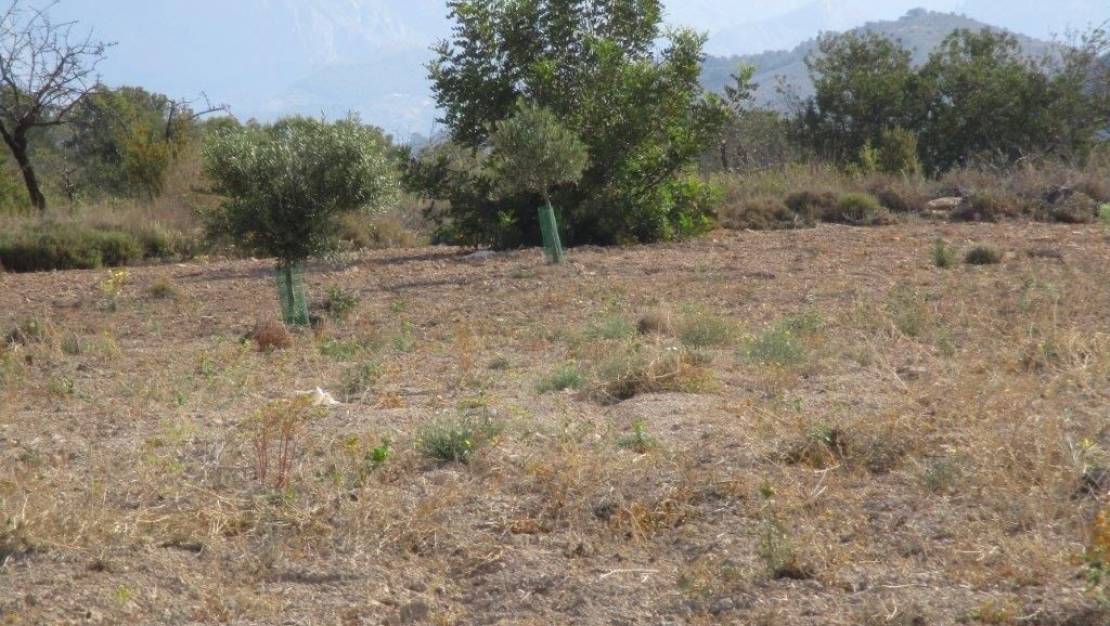 Venta - Land - Relleu - Relleu Centro