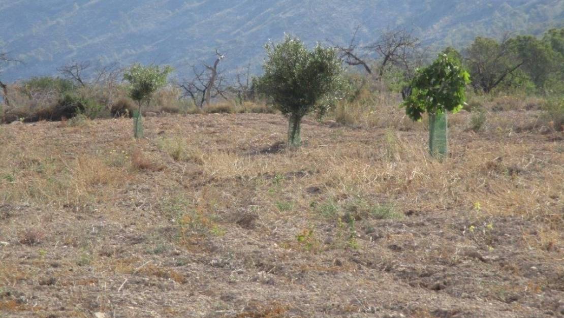 Venta - Land - Relleu - Relleu Centro