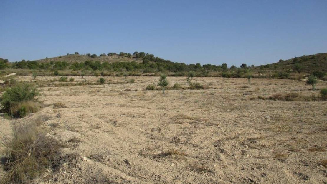 Venta - Land - Relleu - Relleu Centro