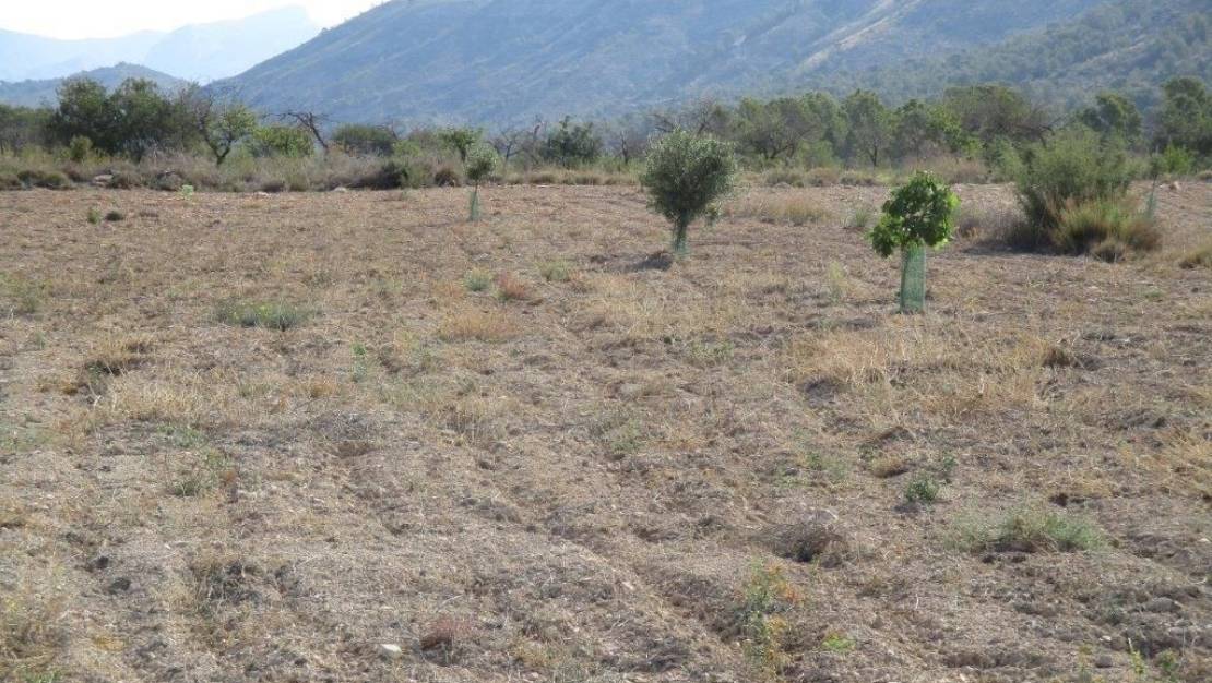 Venta - Land - Relleu - Relleu Centro