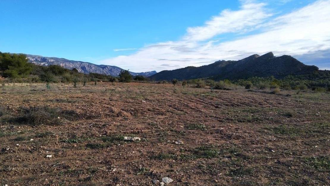 Venta - Land - Relleu - Relleu Centro