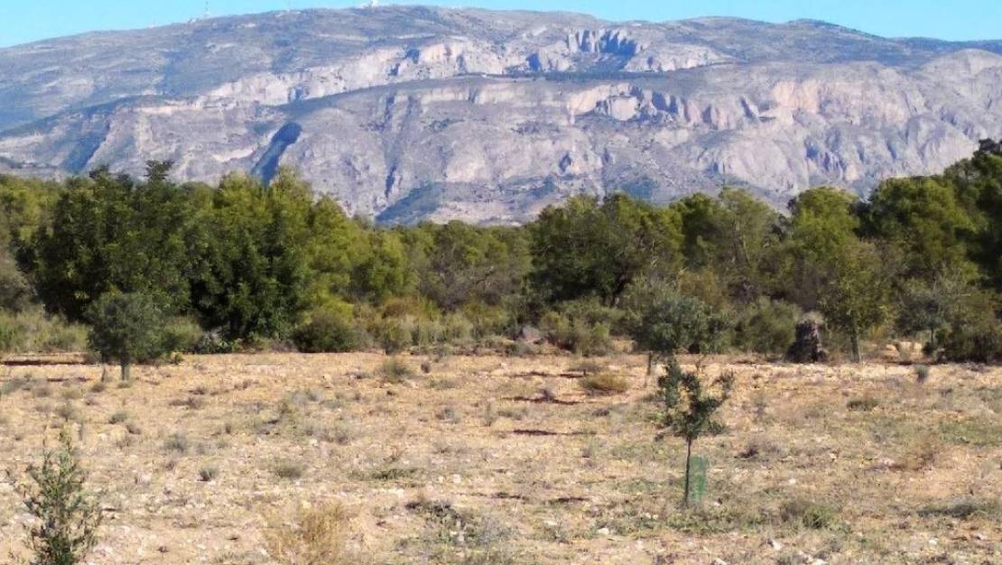 Venta - Land - Relleu - Relleu Centro