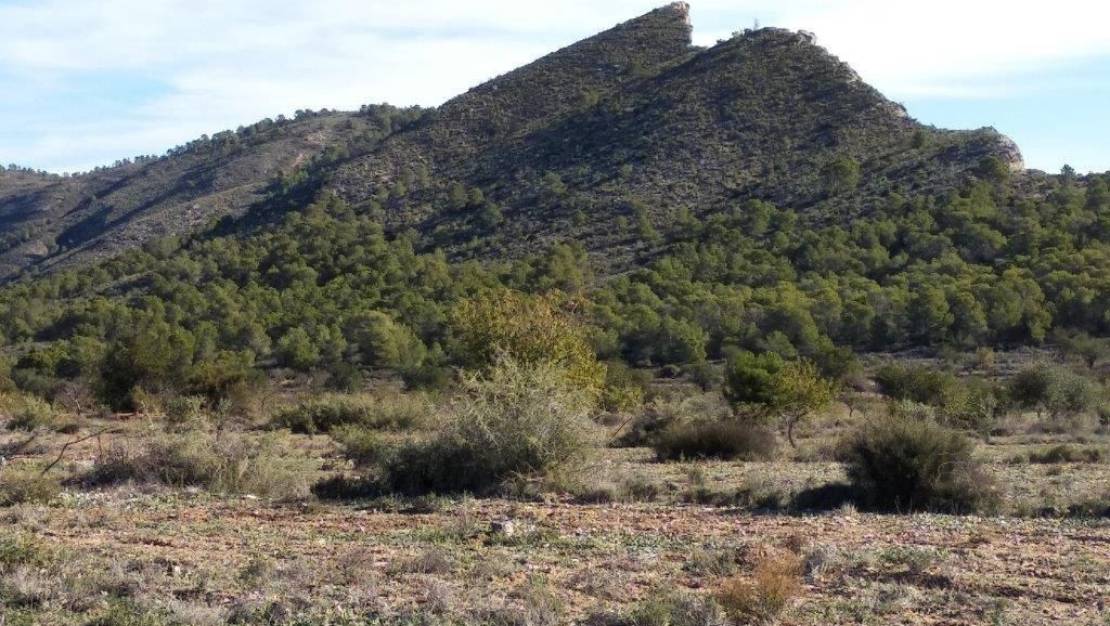 Venta - Land - Relleu - Relleu Centro