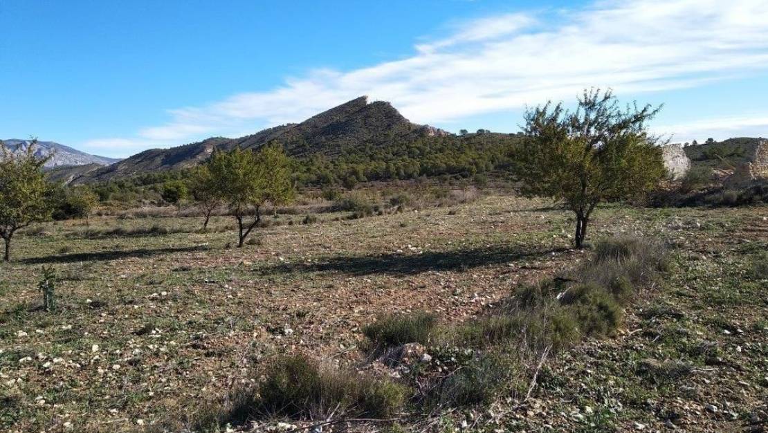 Venta - Land - Relleu - Relleu Centro