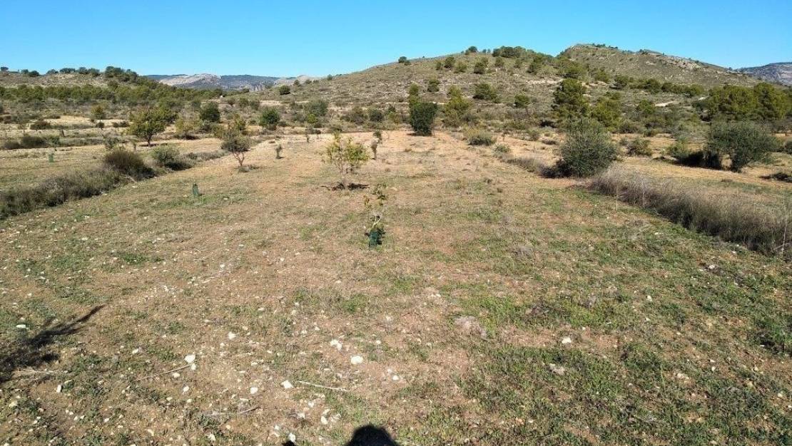 Venta - Land - Relleu - Relleu Centro