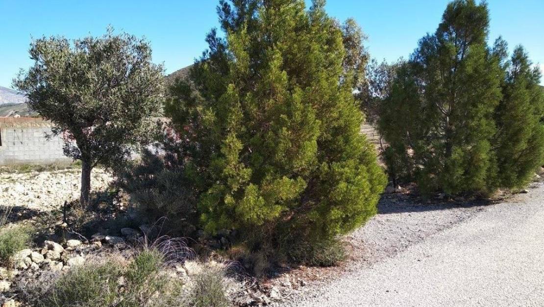 Venta - Land - Relleu - Relleu Centro