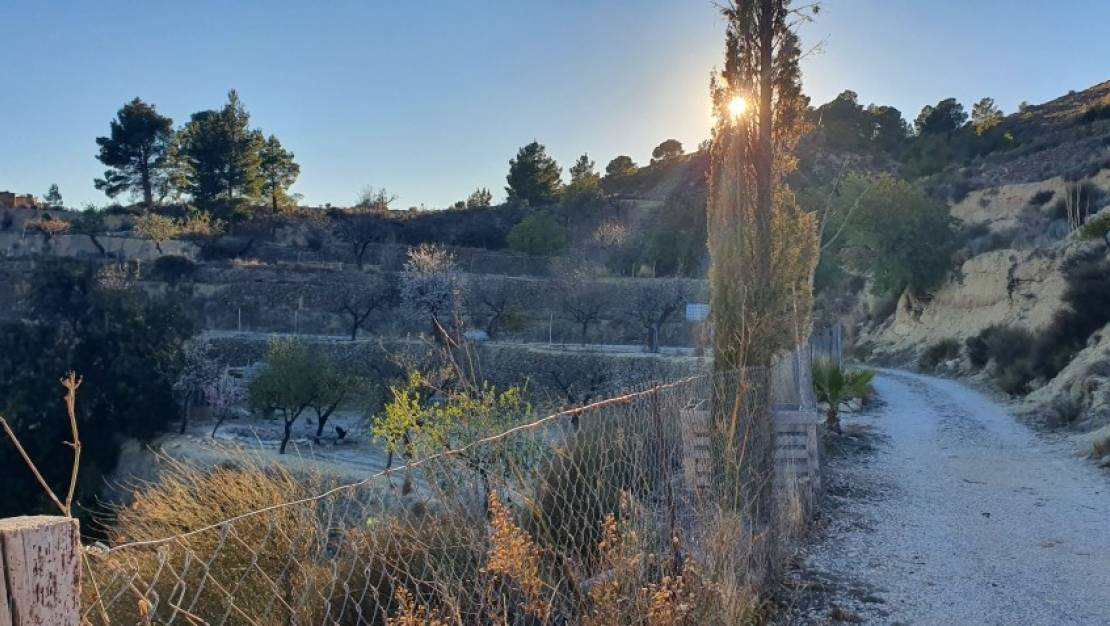 Venta - Land - Relleu - Relleu Centro