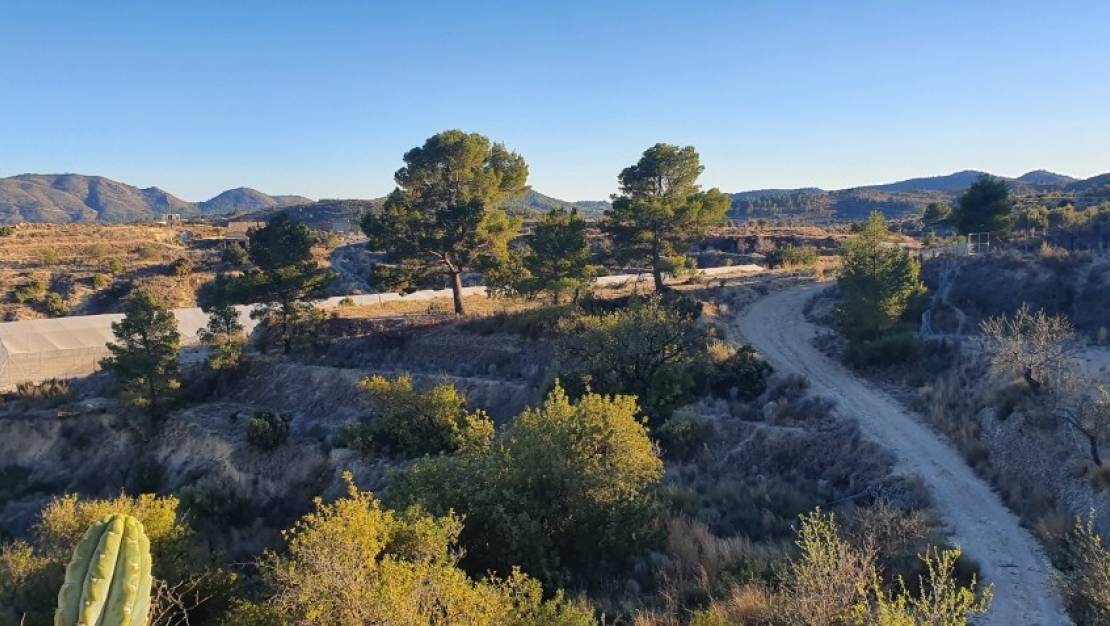 Venta - Land - Relleu - Relleu Centro