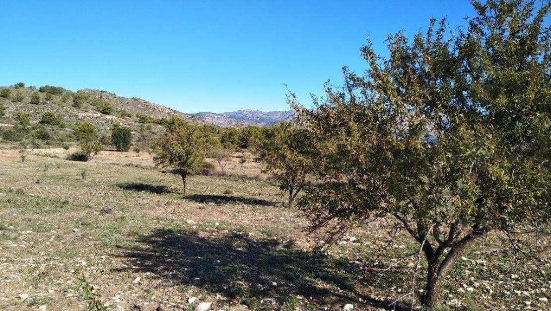 Venta - Land - Relleu - Relleu Centro