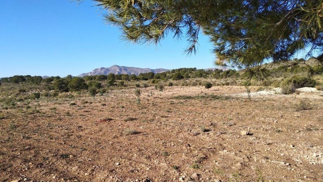 Venta - Land - Relleu - Relleu Centro