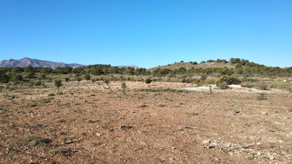 Venta - Land - Relleu - Relleu Centro