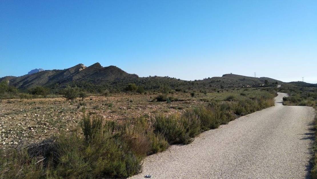 Venta - Land - Relleu - Relleu Centro