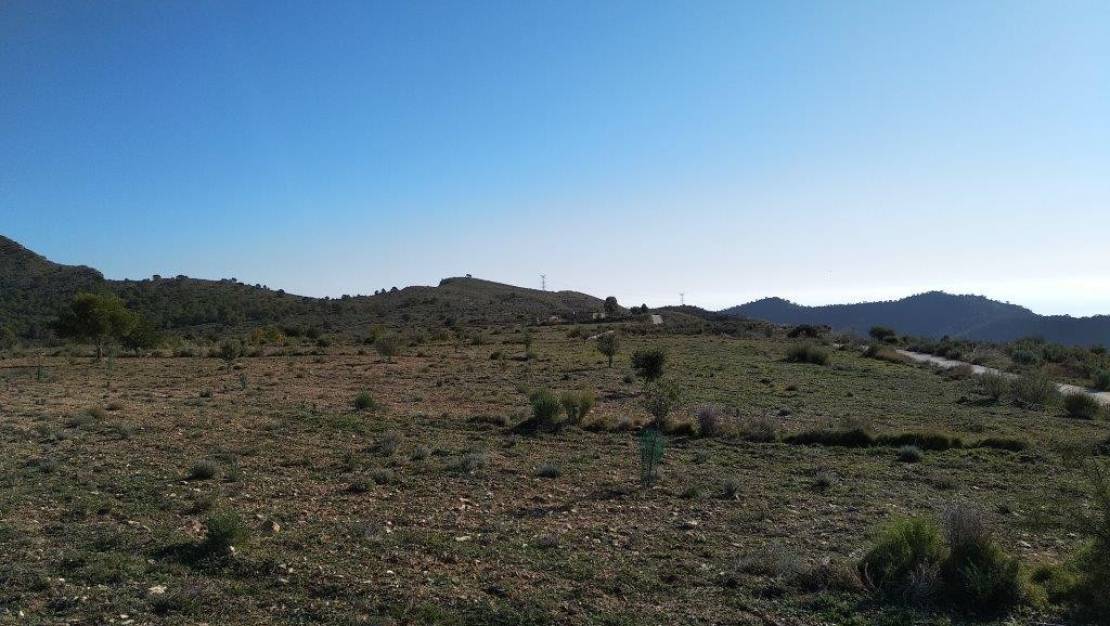 Venta - Land - Relleu - Relleu Centro