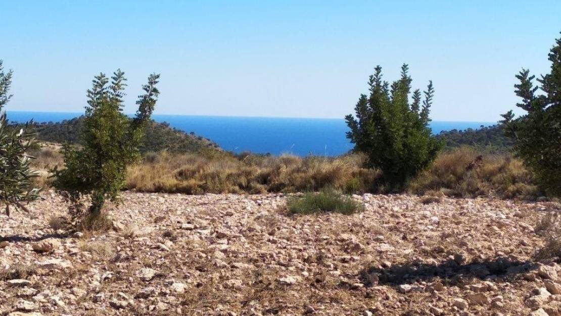 Venta - Land - Relleu - Relleu Centro