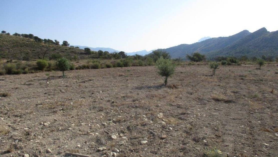 Venta - Land - Relleu - Relleu Centro