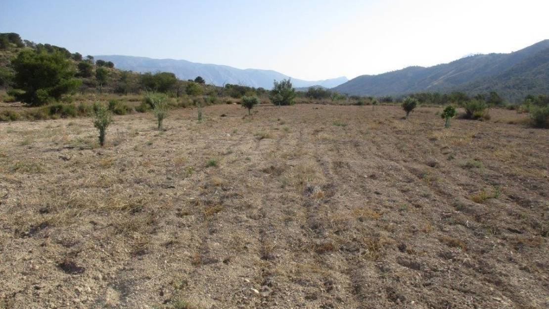 Venta - Land - Relleu - Relleu Centro