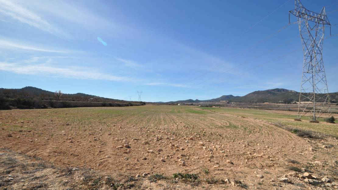 Venta - Land - Salinas - Salinas Centro