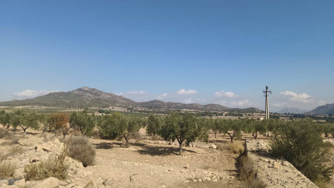 Venta - Land - Salinas - Salinas Centro