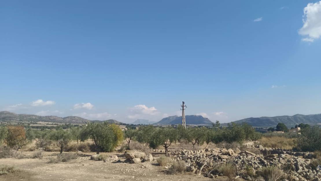 Venta - Land - Salinas - Salinas Centro