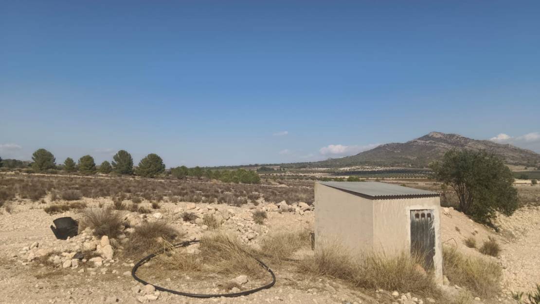 Venta - Land - Salinas - Salinas Centro