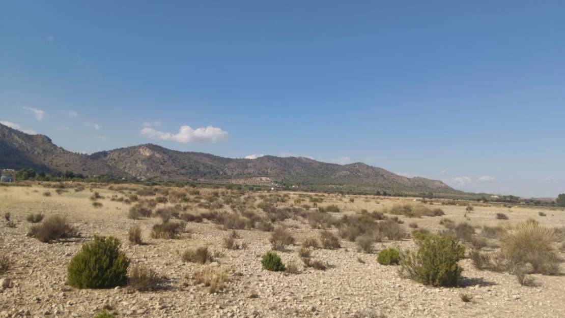 Venta - Land - Salinas - Salinas Centro