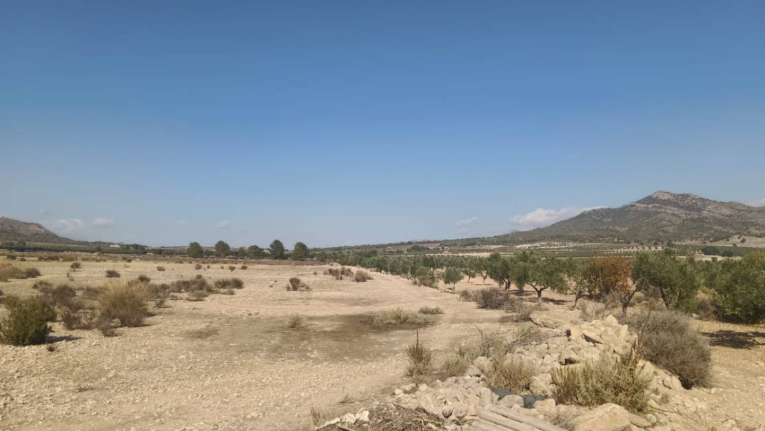 Venta - Land - Salinas - Salinas Centro