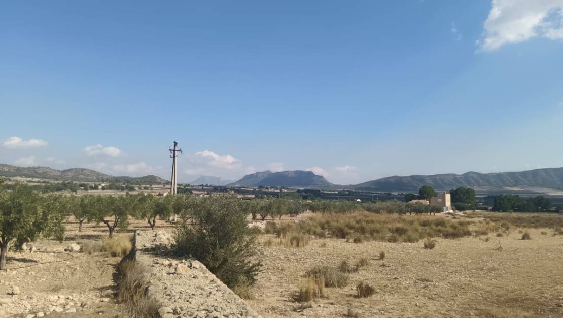 Venta - Land - Salinas - Salinas Centro