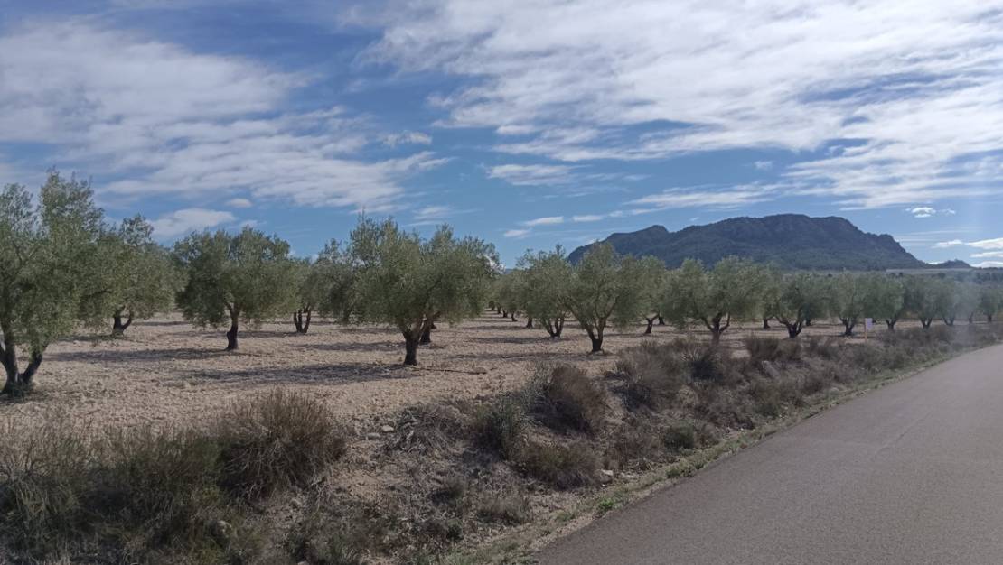 Venta - Land - Salinas - Salinas Centro
