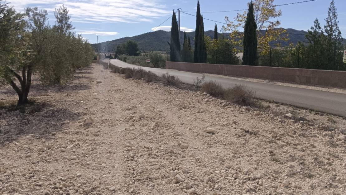 Venta - Land - Salinas - Salinas Centro