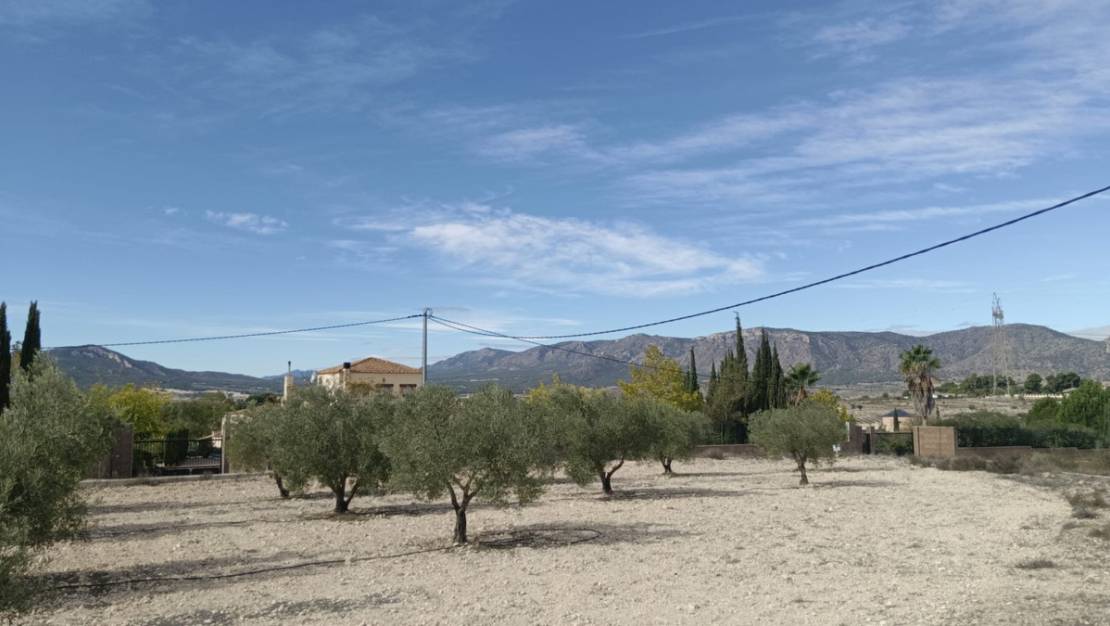 Venta - Land - Salinas - Salinas Centro