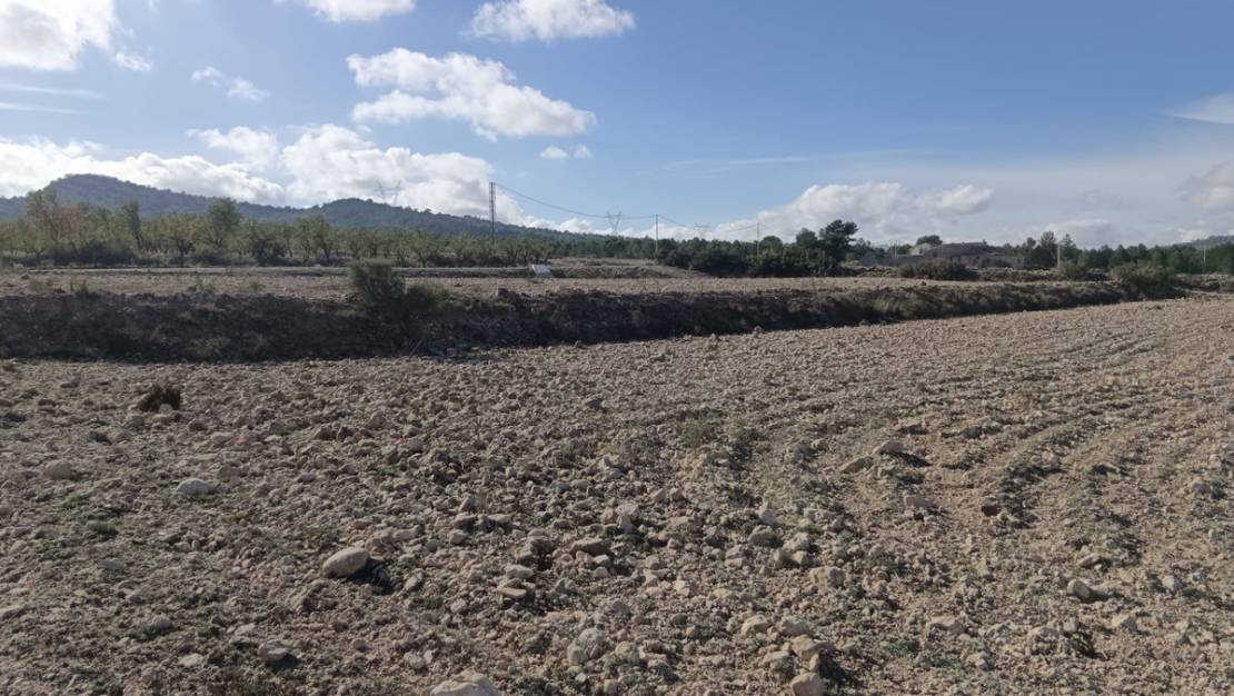 Venta - Land - Salinas - Salinas Centro