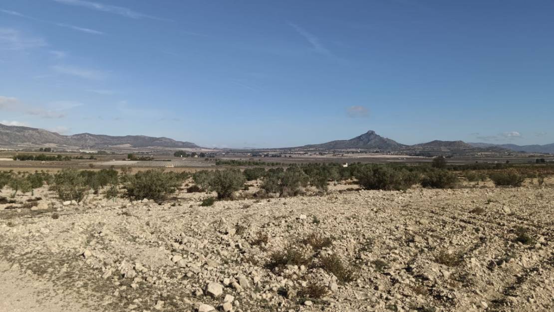 Venta - Land - Salinas - Salinas Centro