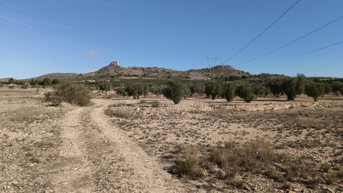 Venta - Land - Salinas - Salinas Centro