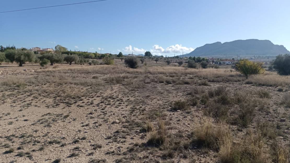 Venta - Land - Salinas - Salinas Centro