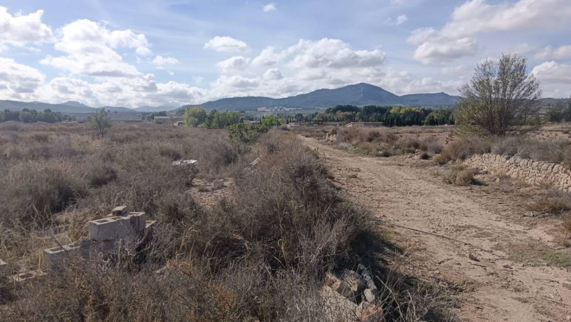 Venta - Land - Salinas - Salinas Centro