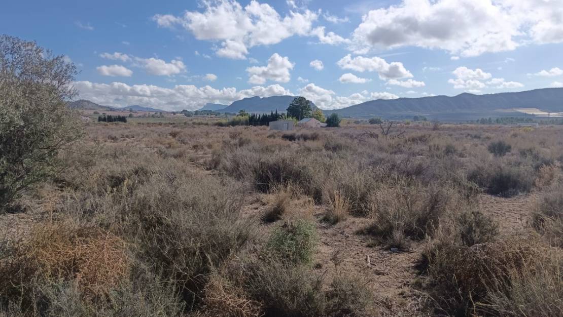 Venta - Land - Salinas - Salinas Centro