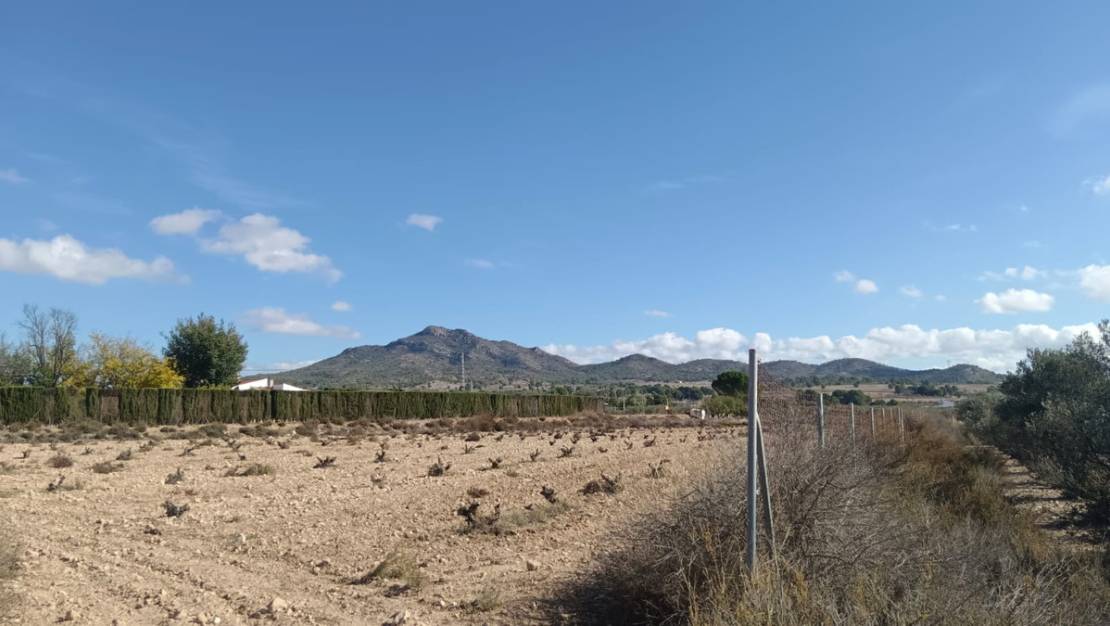 Venta - Land - Salinas - Salinas Centro