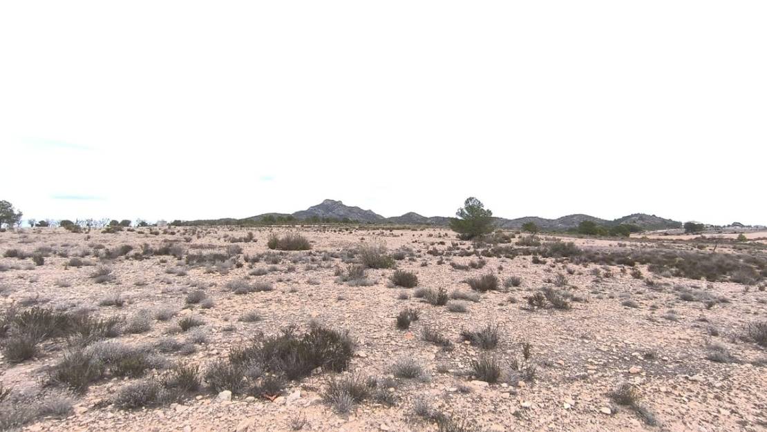 Venta - Land - Salinas - Salinas Centro