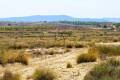 Venta - Land - San Miguel de Salinas - San Miguel de Salinas Centro