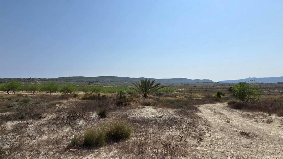 Venta - Land - San Miguel de Salinas - San Miguel de Salinas Centro