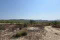Venta - Land - San Miguel de Salinas - San Miguel de Salinas Centro
