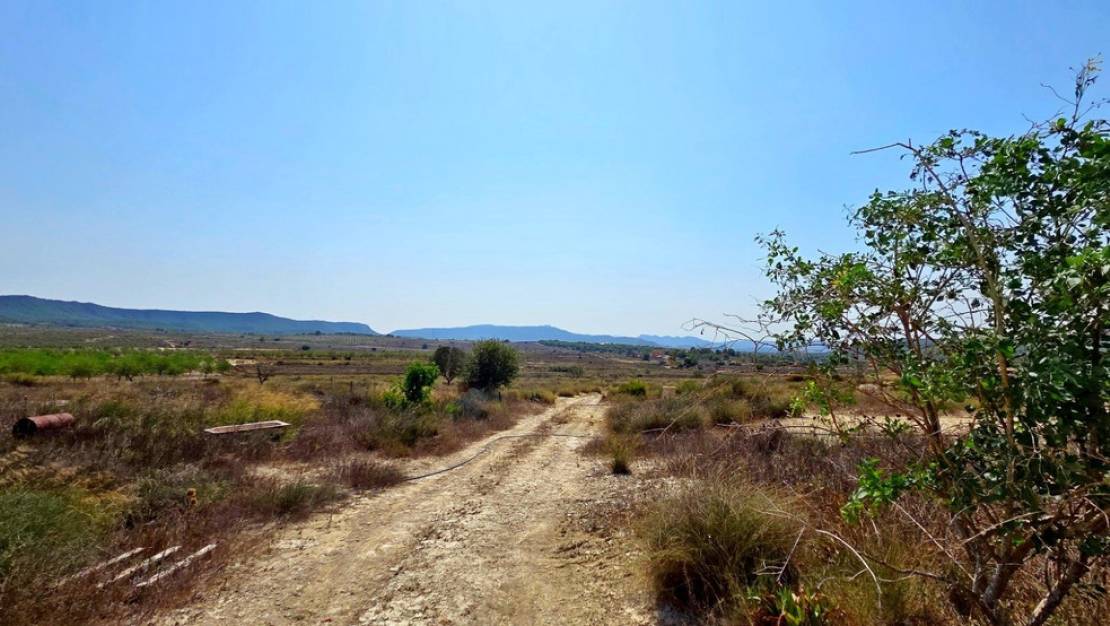 Venta - Land - San Miguel de Salinas - San Miguel de Salinas Centro