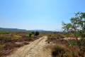 Venta - Land - San Miguel de Salinas - San Miguel de Salinas Centro
